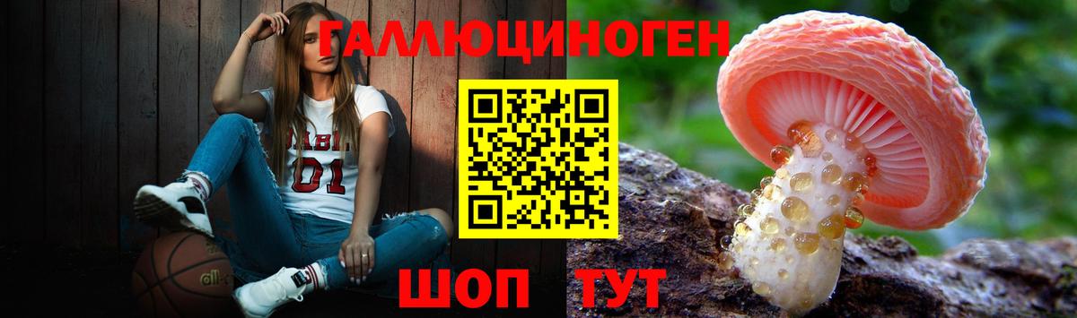 наркота  Псилоцибиновые грибы мицелий  Вход с VPN  Сибай 